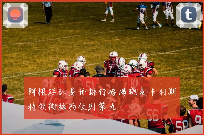 阿根廷队身价排行榜揭晓麦卡利斯特领衔梅西位列第九