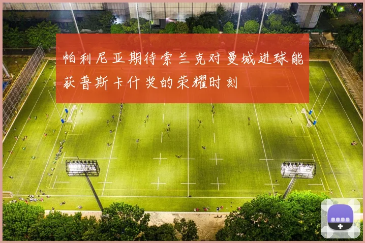 帕利尼亚期待索兰克对曼城进球能获普斯卡什奖的荣耀时刻