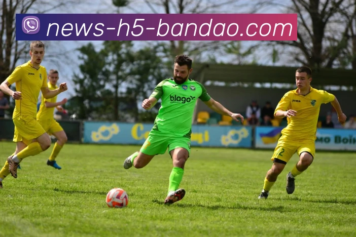 半岛体育平台生态图