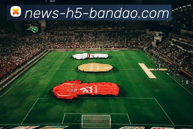 半岛体育APP 封面图